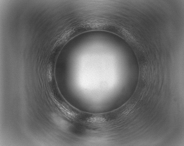 X0000052580644200507081729