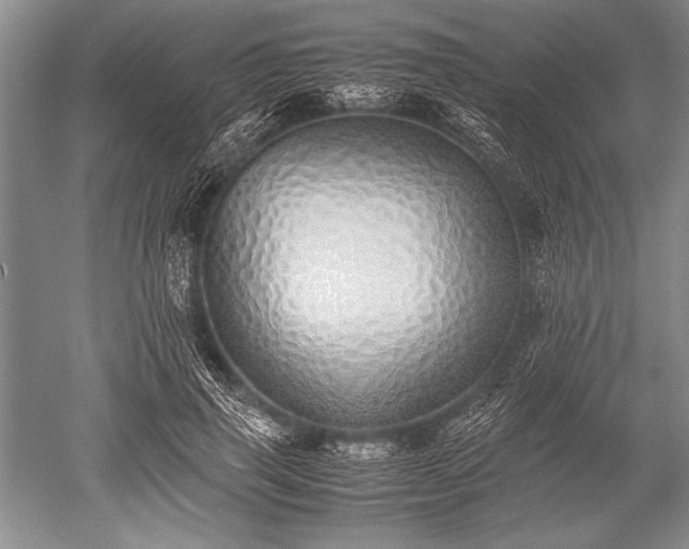 X0000052580645200507081729