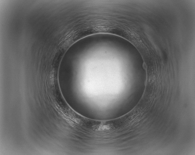 X0000052580647200507081729
