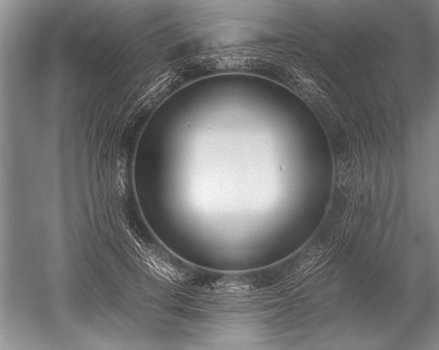 X0000052580648200507081729