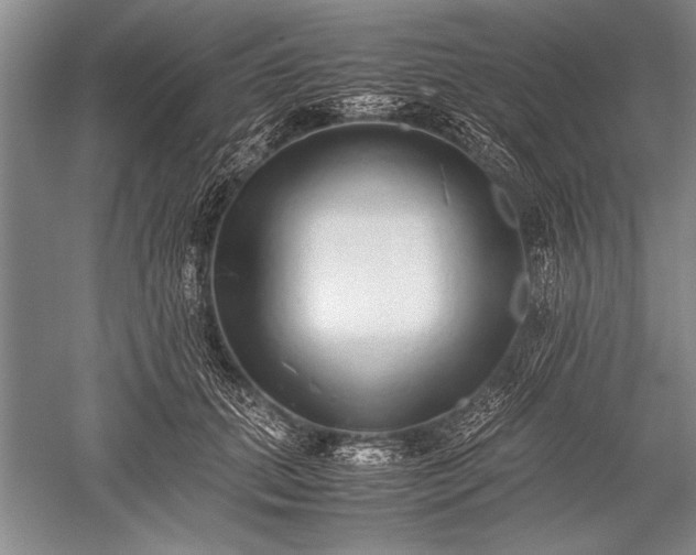 X0000052580655200507081729