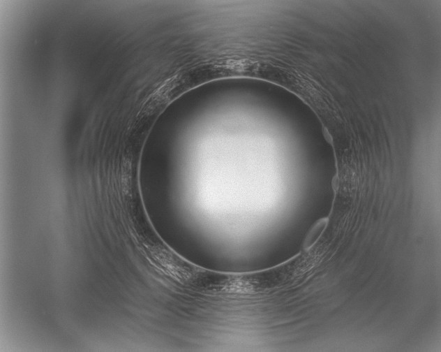 X0000052580656200507081729