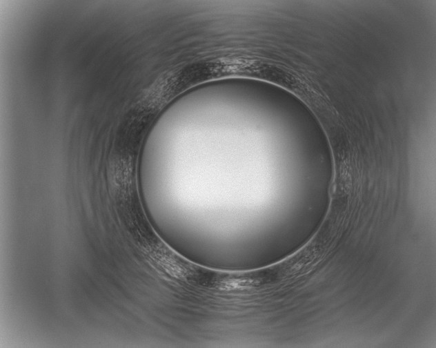 X0000052580657200507081729