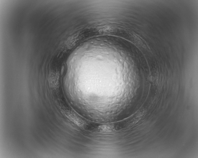 X0000052580660200507081729