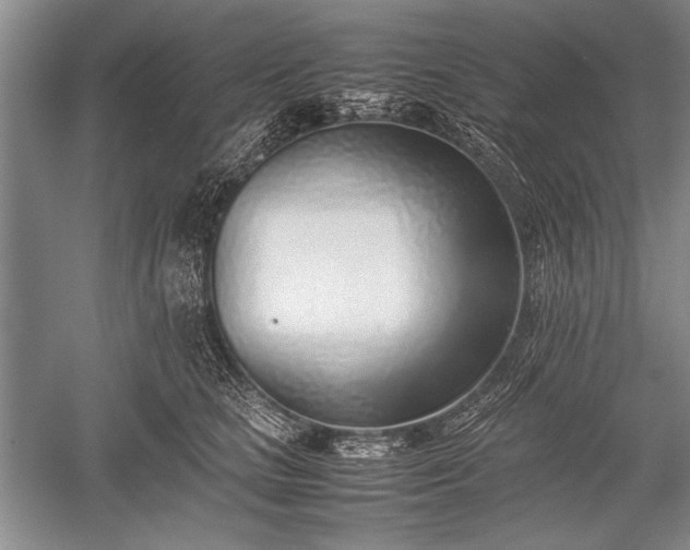 X0000052580661200507081729
