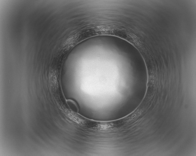X0000052580662200507081729