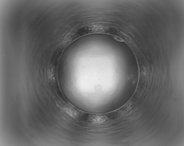 X0000052580663200507081729