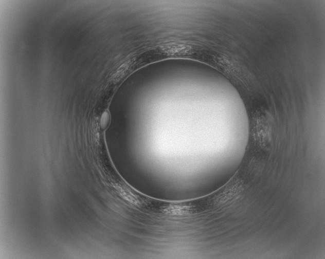 X0000052580664200507081729