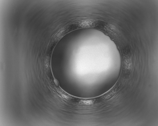 X0000052580665200507081729