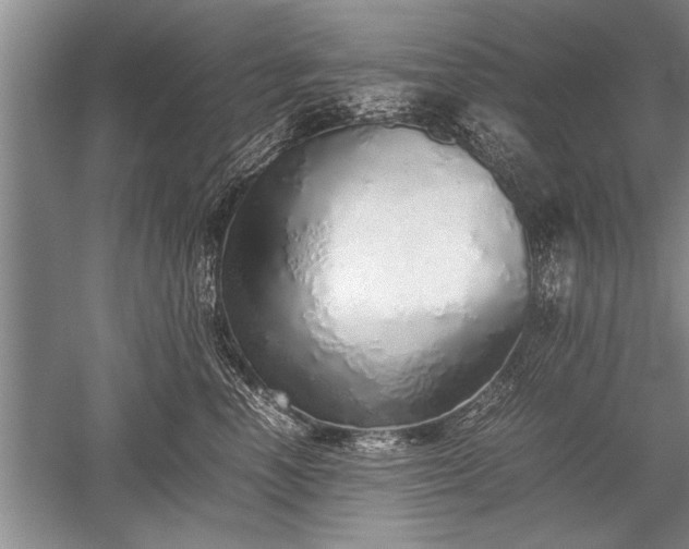 X0000052580666200507081729