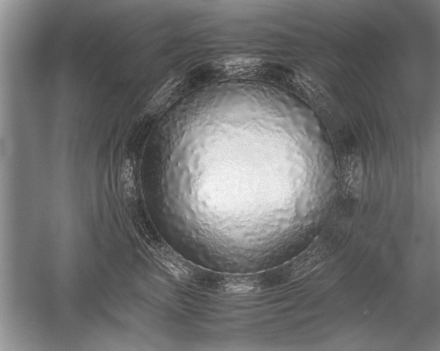 X0000052580667200507081729