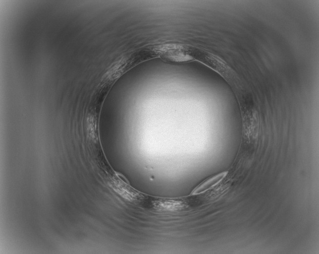 X0000052580669200507081729