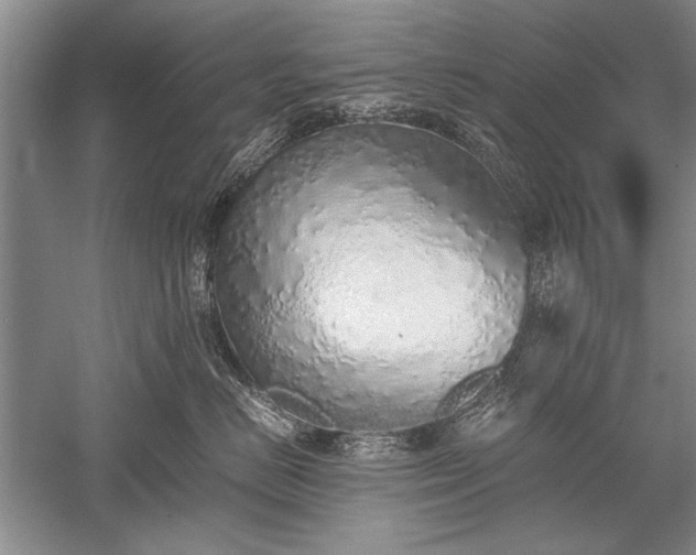 X0000052580670200507081729
