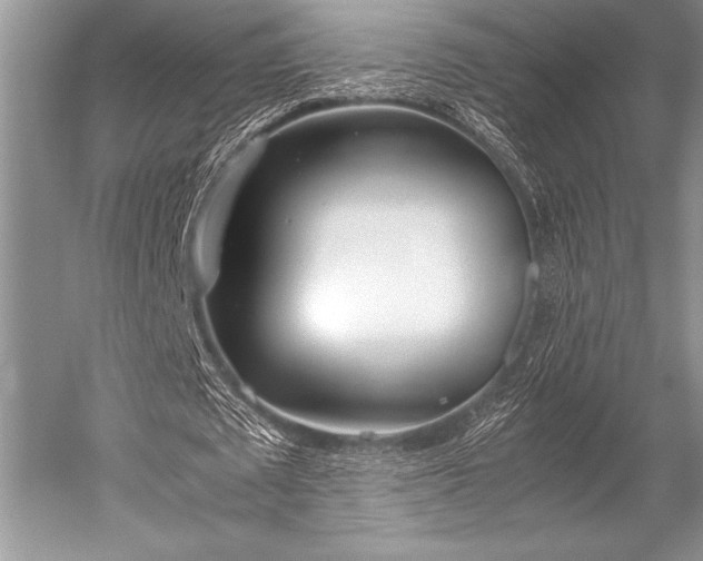 X0000052580673200507081729