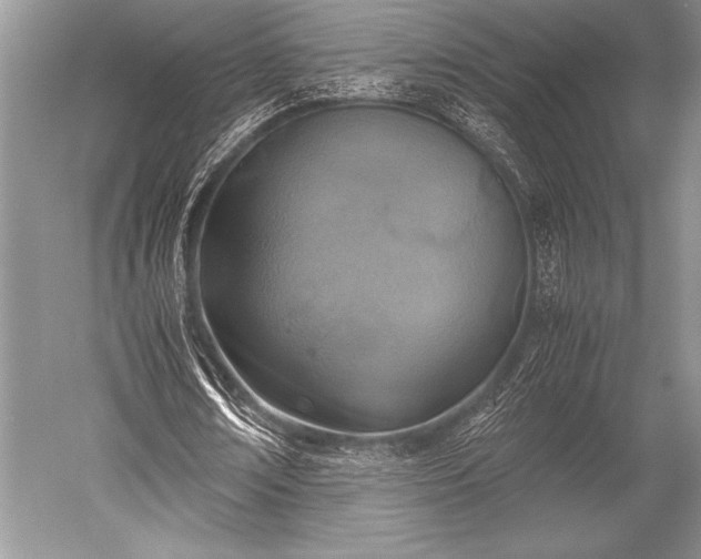 X0000052580674200507081729