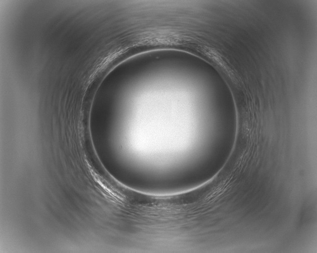 X0000052580677200507081728