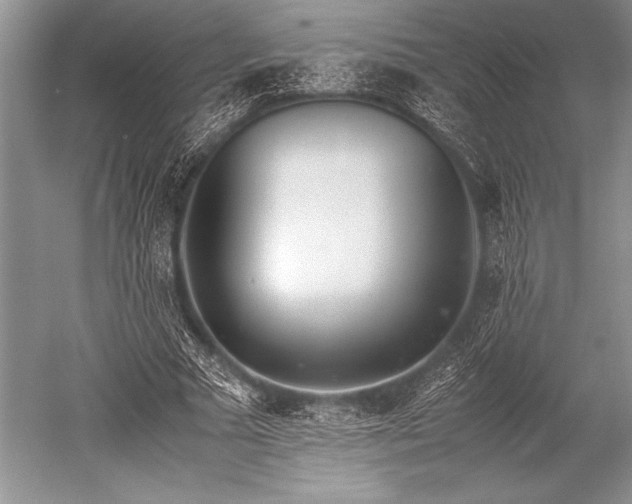 X0000052580681200507081728