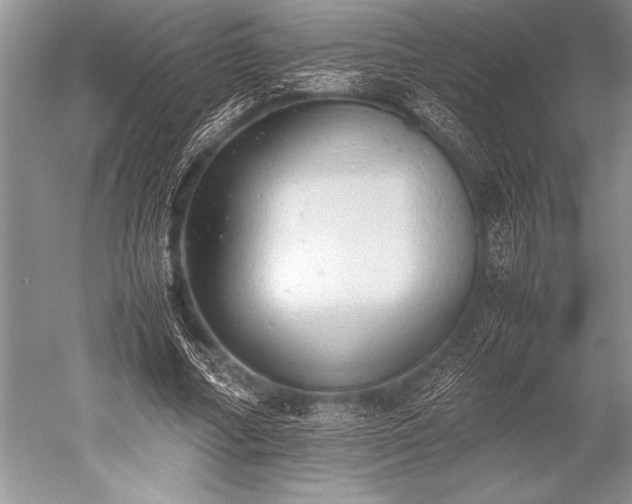 X0000052580682200507081728