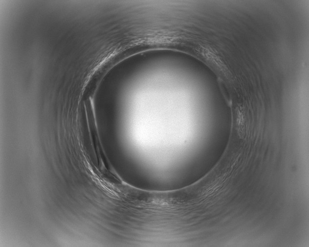 X0000052580684200507081728