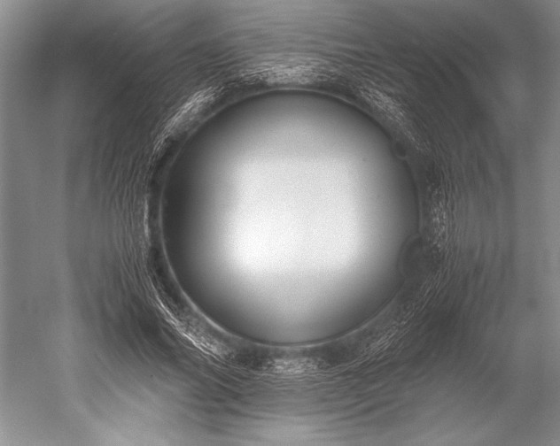 X0000052580686200507081728