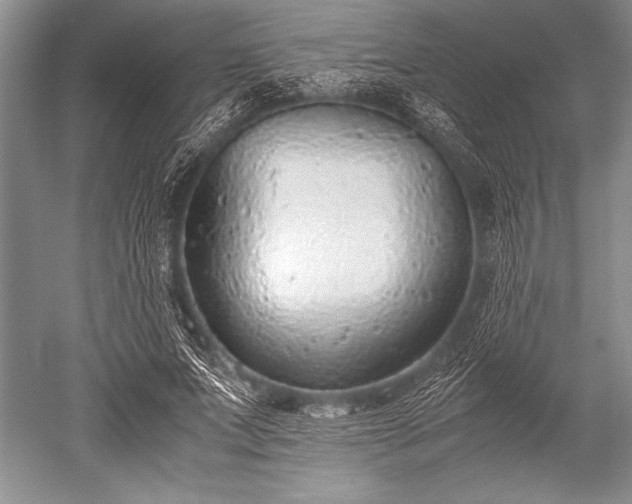 X0000052580687200507081728