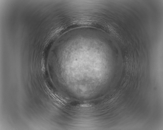X0000052580692200507081728