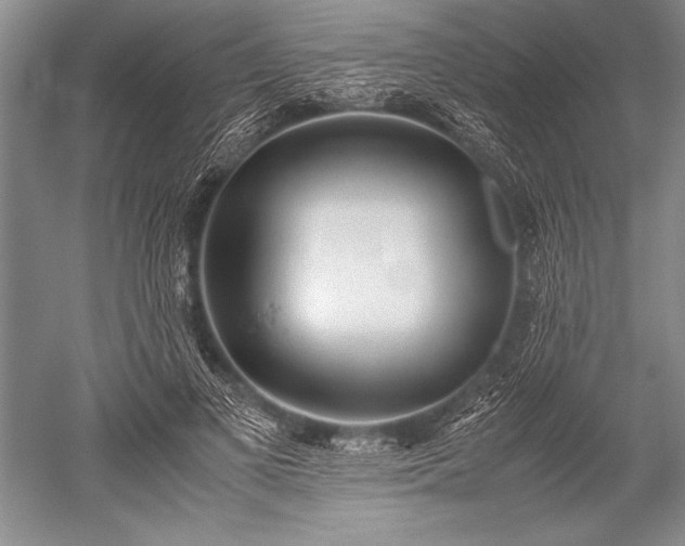 X0000052580693200507081728