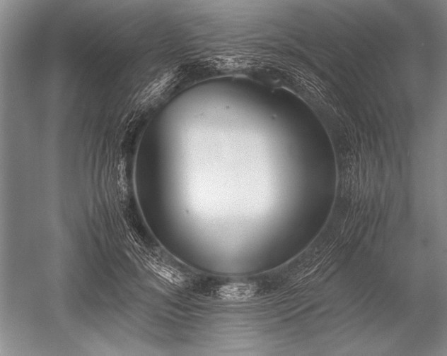 X0000052580700200507081728