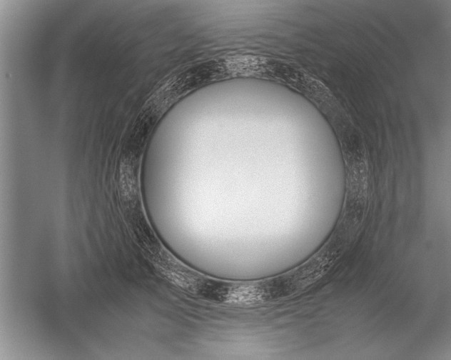 X0000052580705200507081728