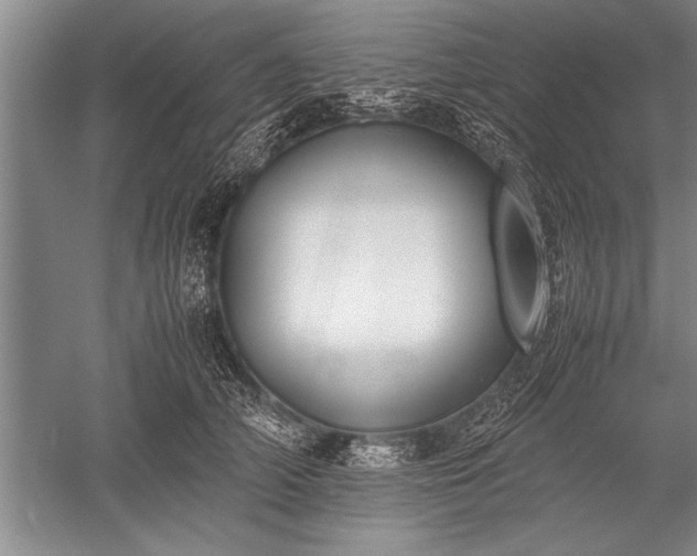 X0000052580706200507081728