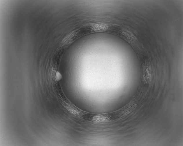 X0000052580714200507081728