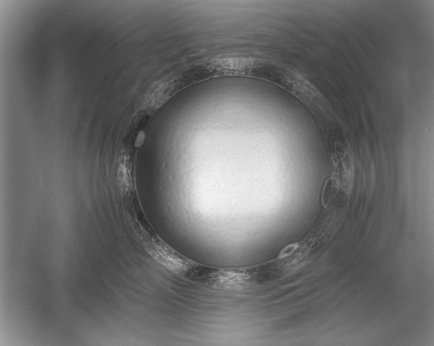 X0000052580718200507081728