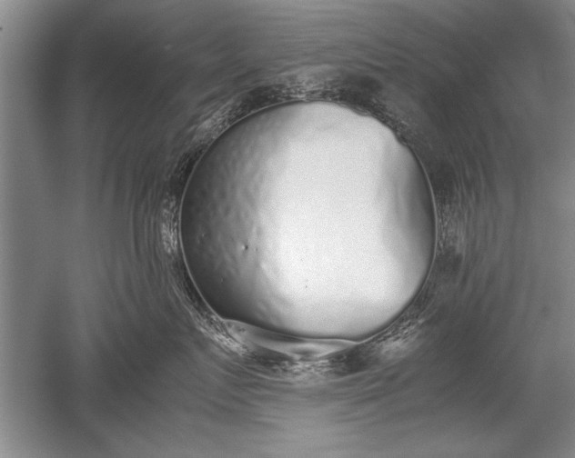 X0000052580719200507081728