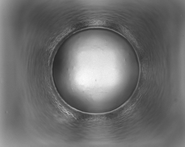 X0000052580721200507081727