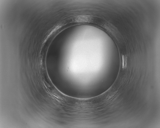 X0000052580723200507081727