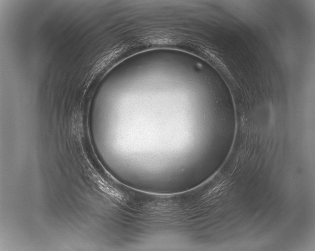X0000052580725200507081727