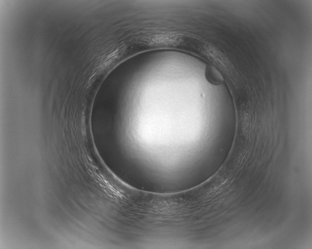 X0000052580729200507081727