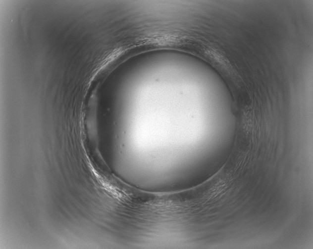 X0000052580730200507081727