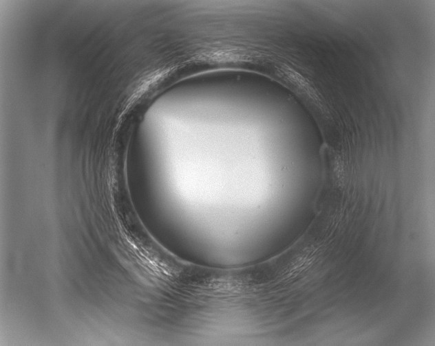 X0000052580732200507081727
