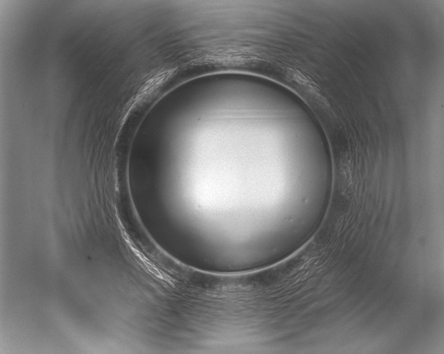 X0000052580734200507081727