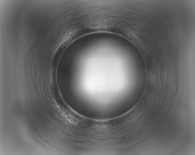 X0000052580735200507081727