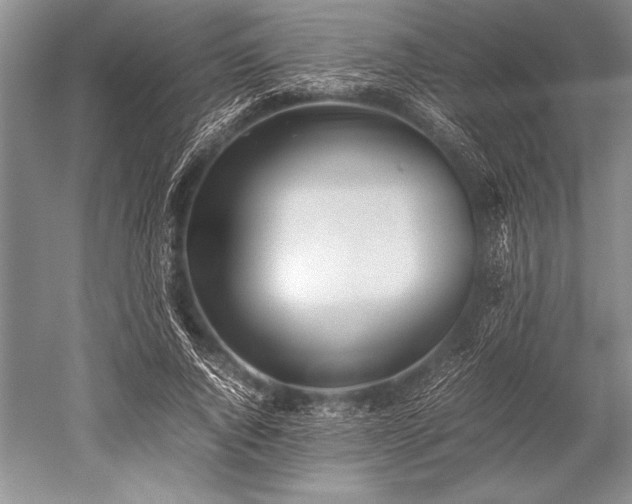 X0000052580736200507081727