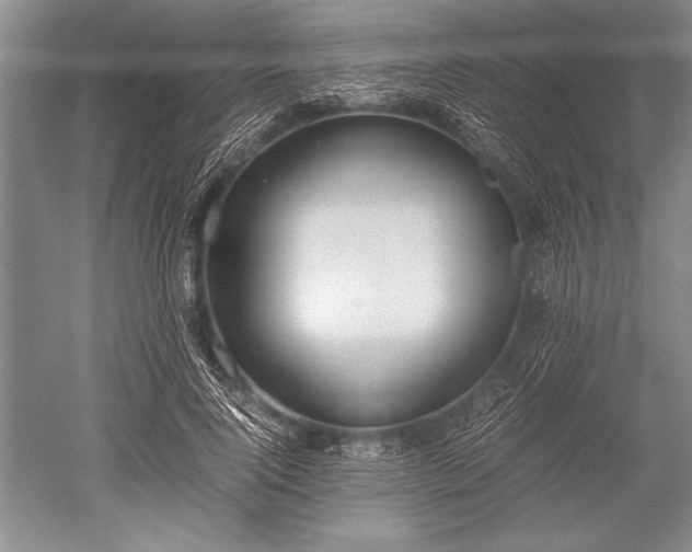 X0000052580740200507081727