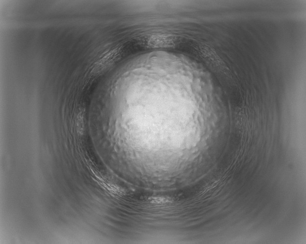 X0000052580741200507081727