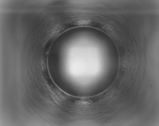 X0000052580743200507081727