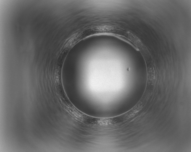 X0000052580762200507081728