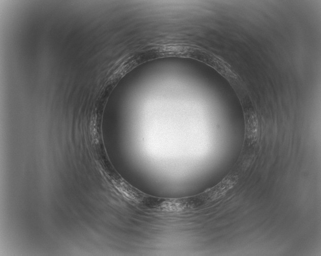 X0000052580764200507081728