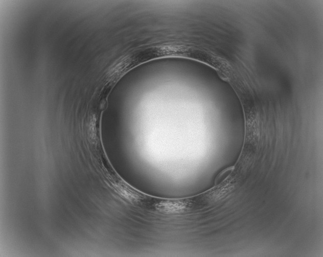 X0000052580765200507081728