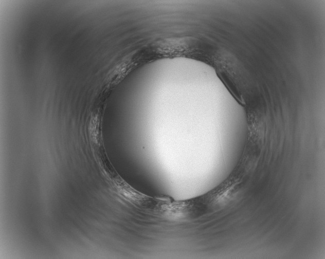 X0000052580767200507081728