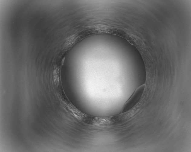 X0000052580768200507081728